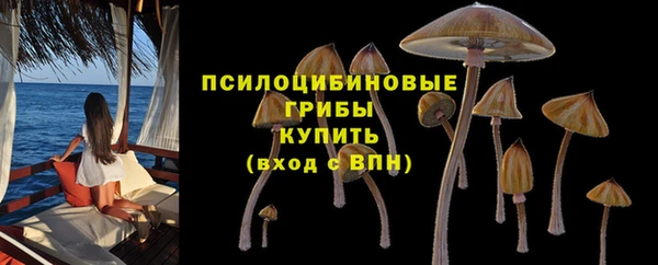 синтетический гашиш Богданович