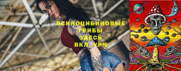 спайс Богородицк