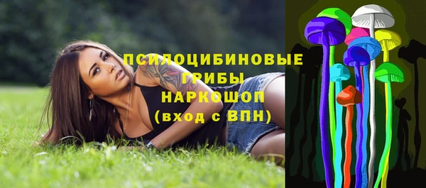 прущая мука Богородск